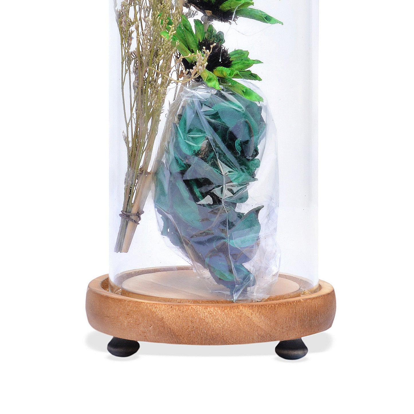 Modern Glass Dome Planter (Green)