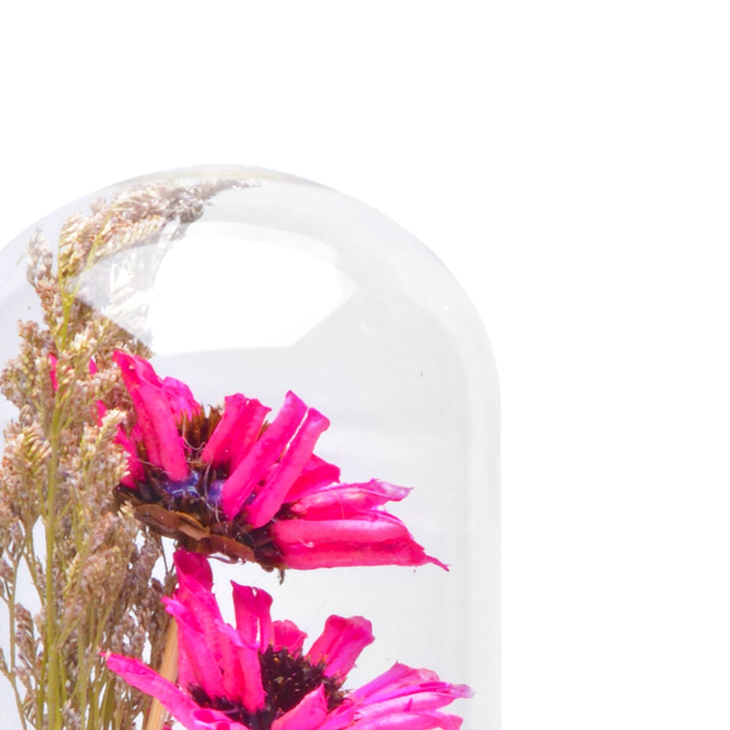 Modern Glass Dome Planter (Pink)