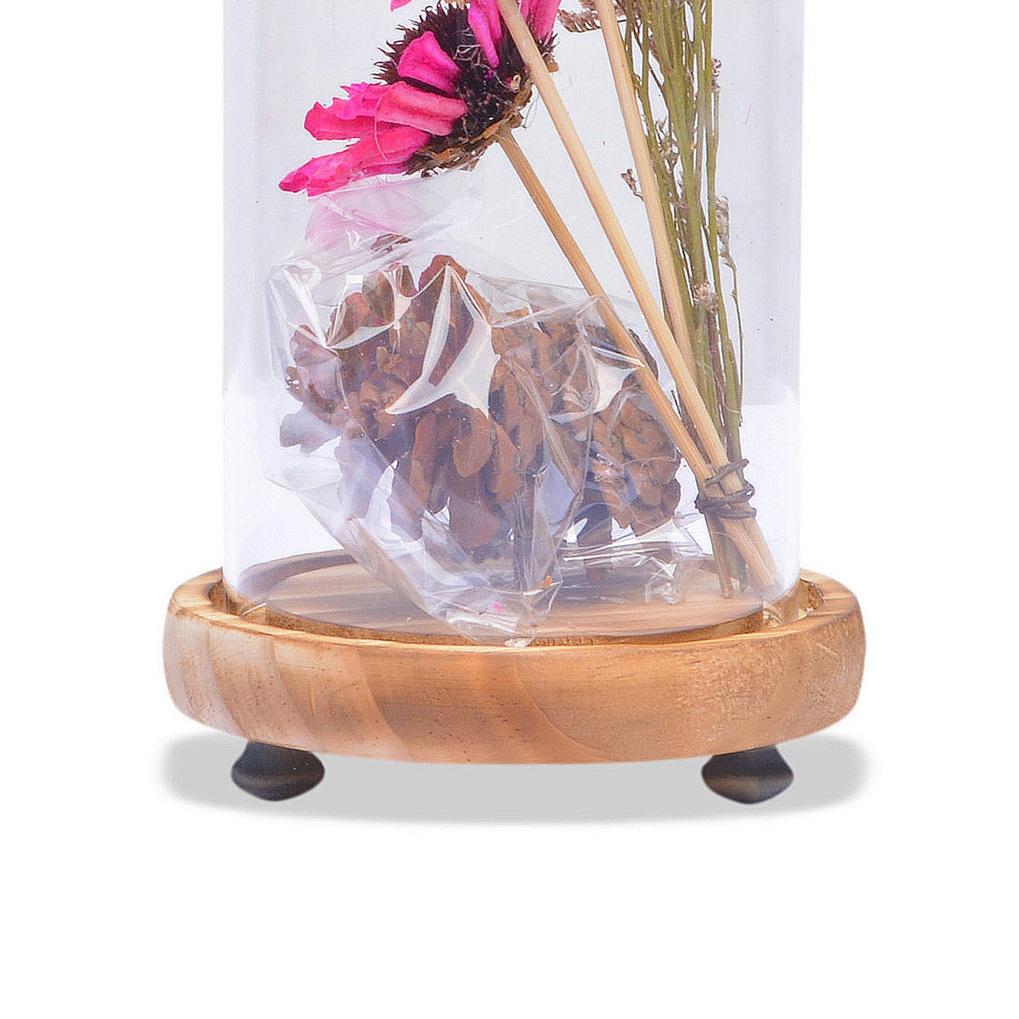 Modern Glass Dome Planter (Pink)