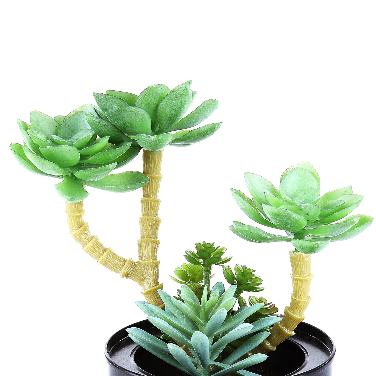 Black Steel Pot & Planter (Green 2)