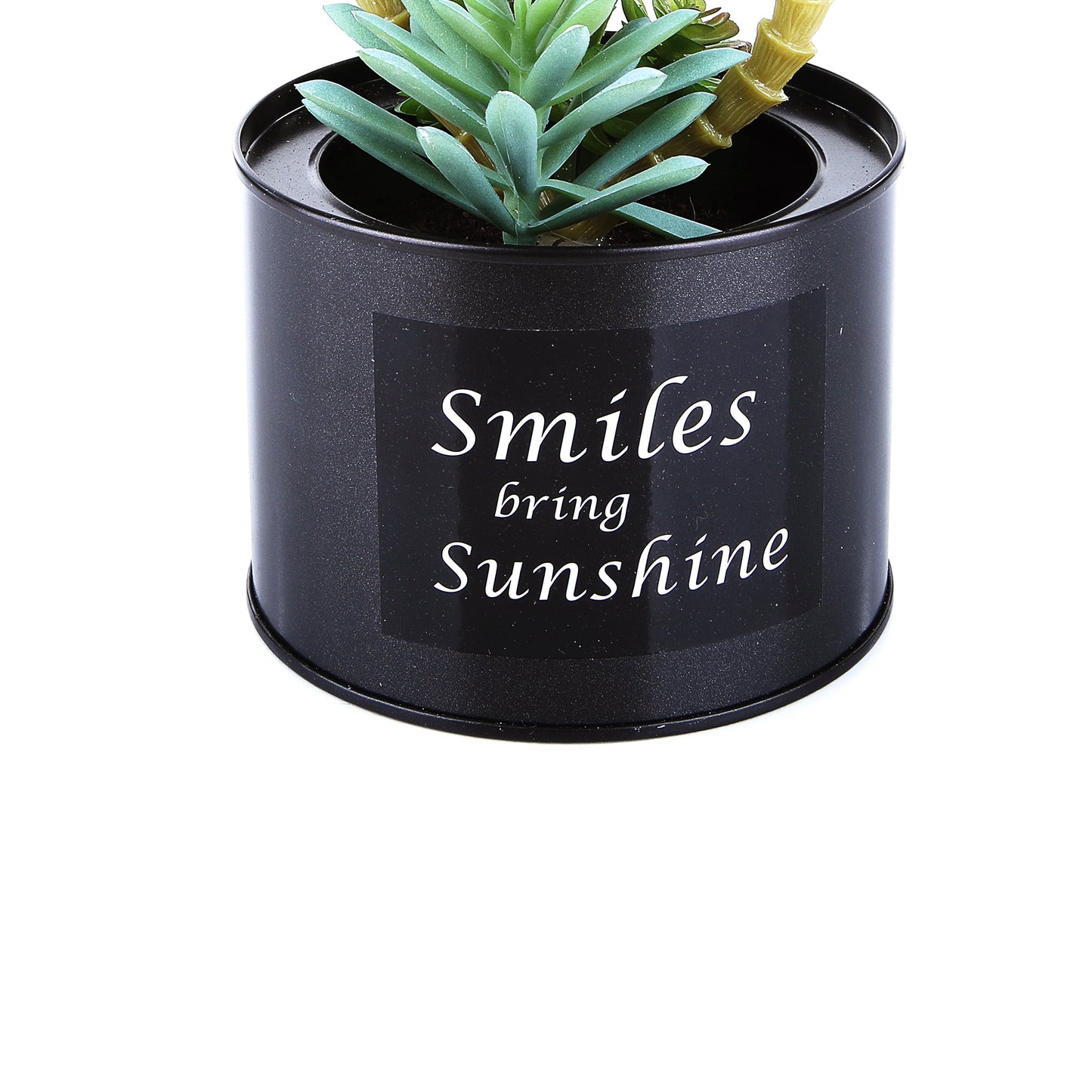 Black Steel Pot & Planter (Green 2)