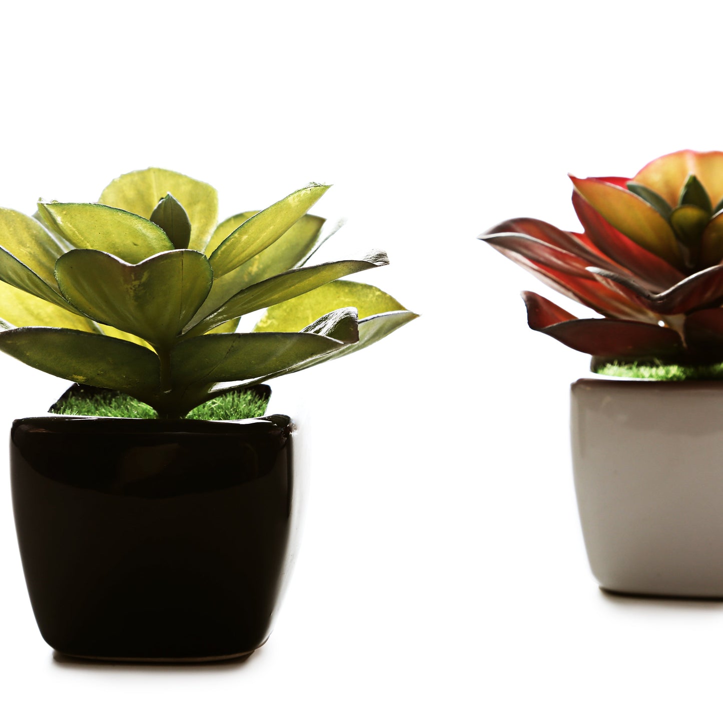 Small Ceramic Decorative Planter (set of 2)