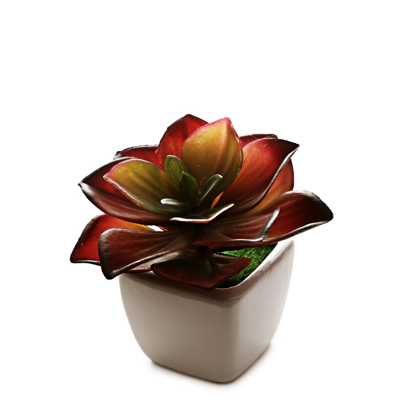 Small Ceramic Decorative Planter (set of 2)