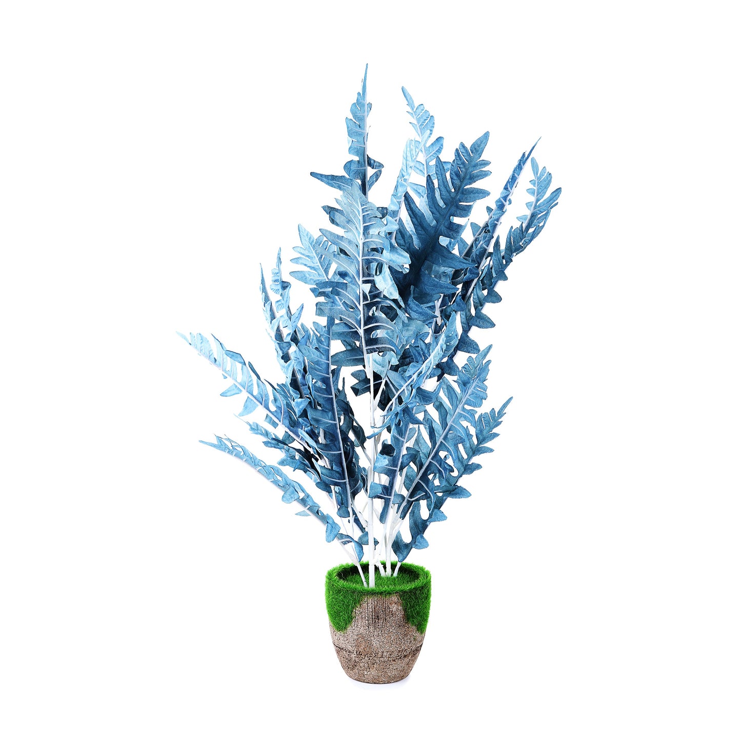 Coconut wooden Pot & Planter (Blue)