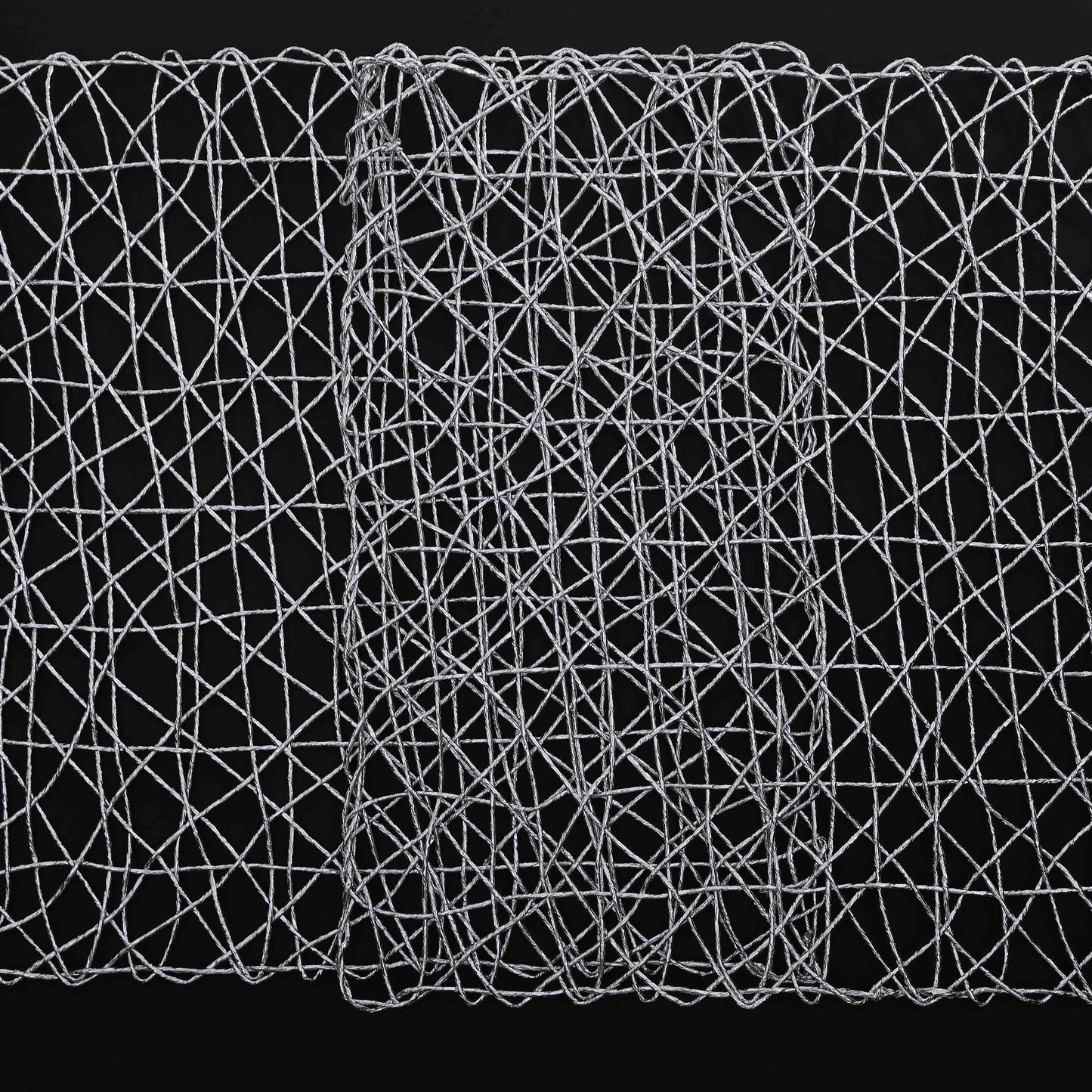 Plastic Silver Raper Table Place-mats (set of 2)