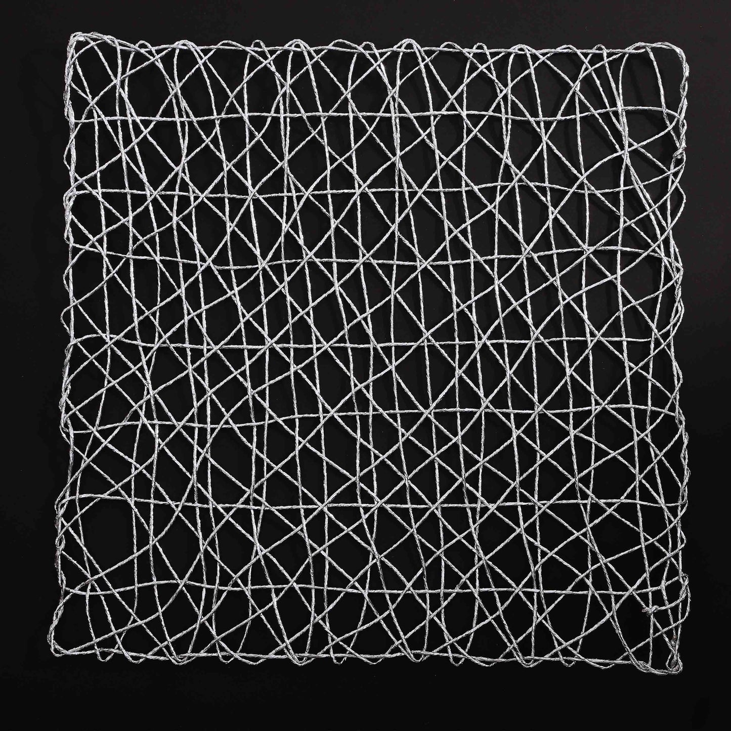 Plastic Silver Raper Table Place-mats (set of 2)