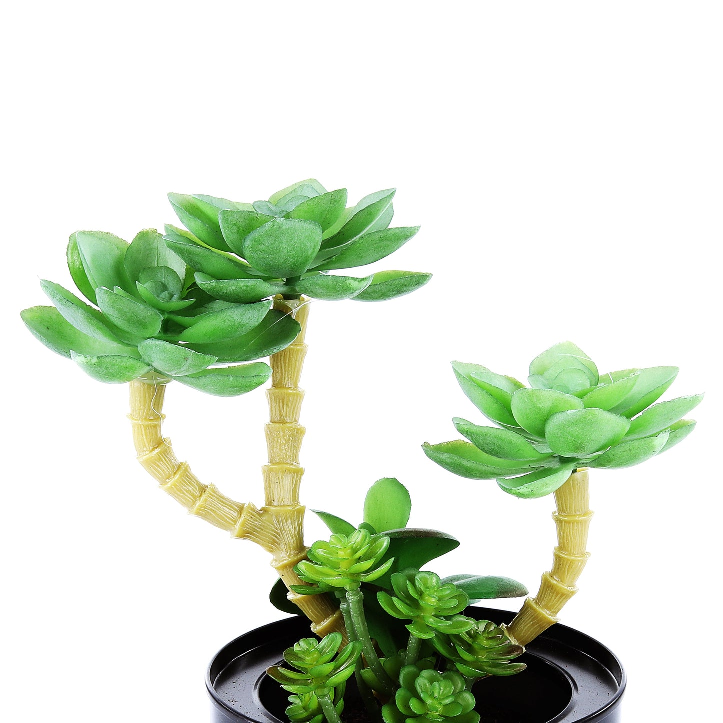 Black Steel Pot & Planter (Green 1)