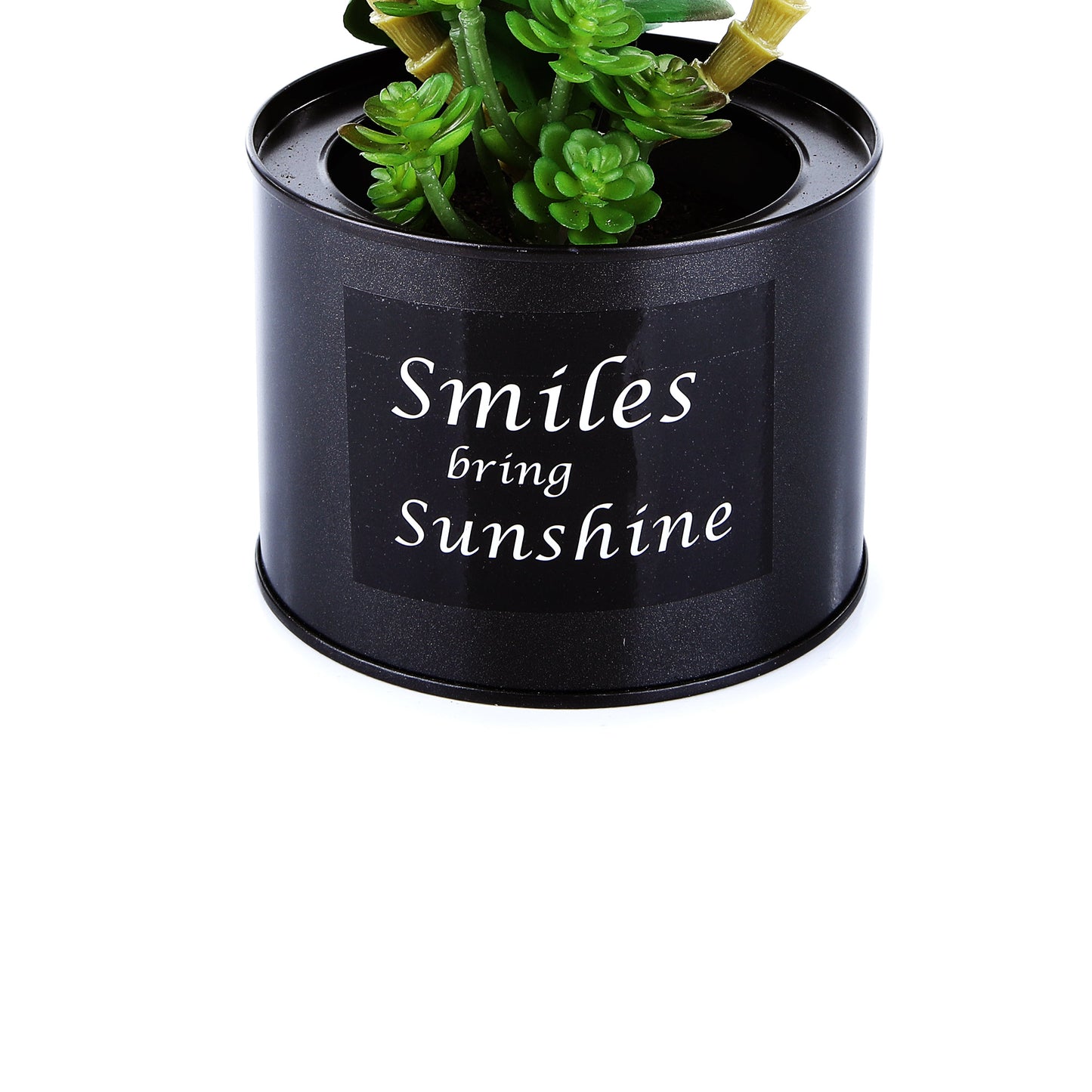 Black Steel Pot & Planter (Green 1)