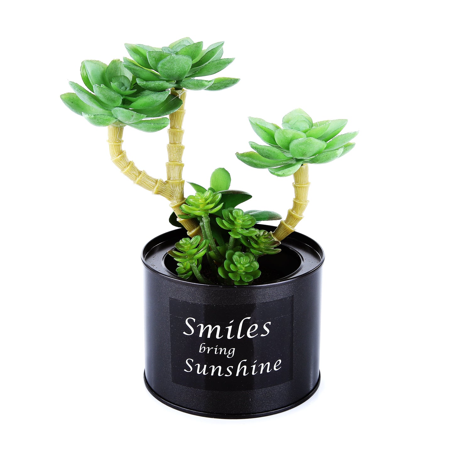Black Steel Pot & Planter (Green 1)