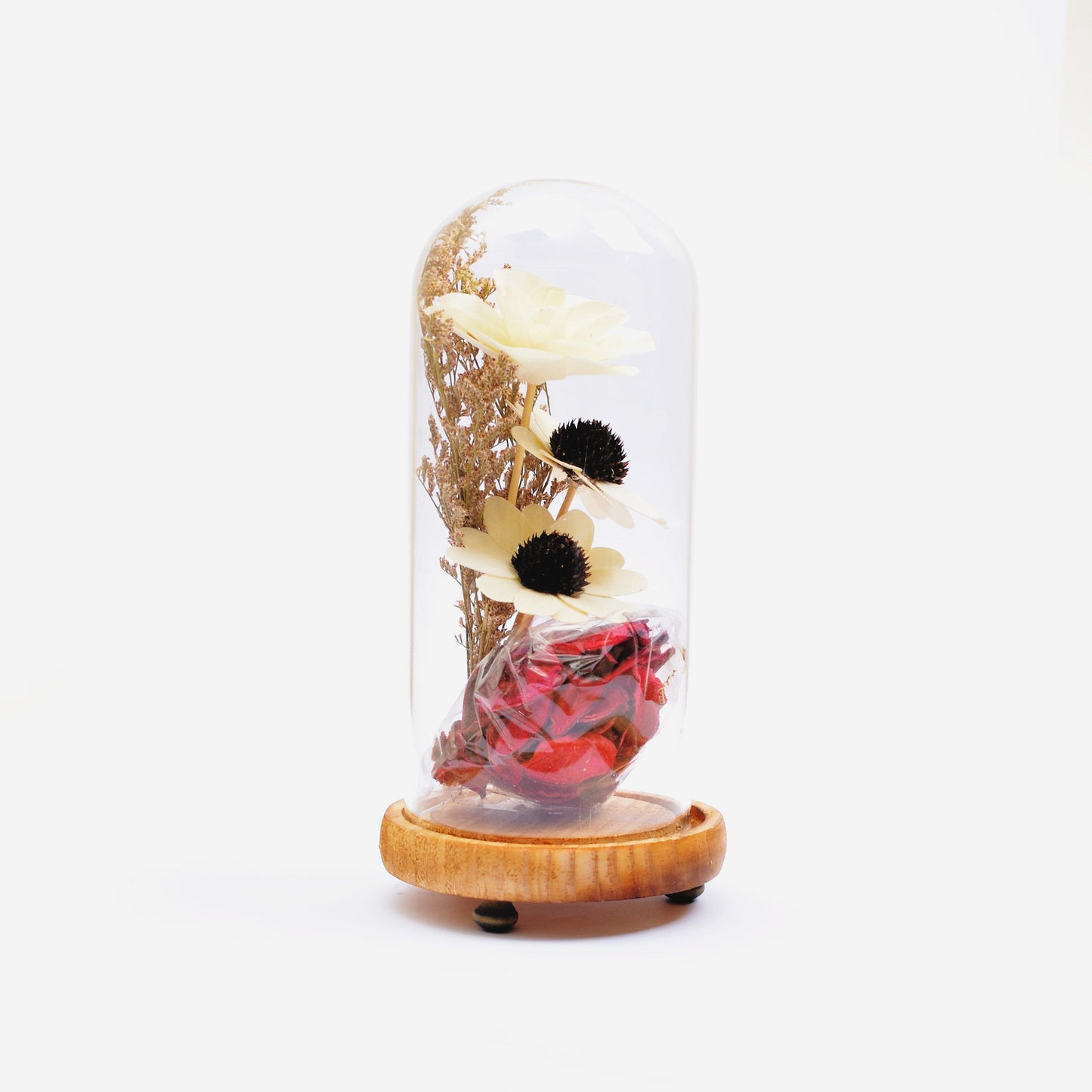 Modern Glass Dome Planter (Off White)