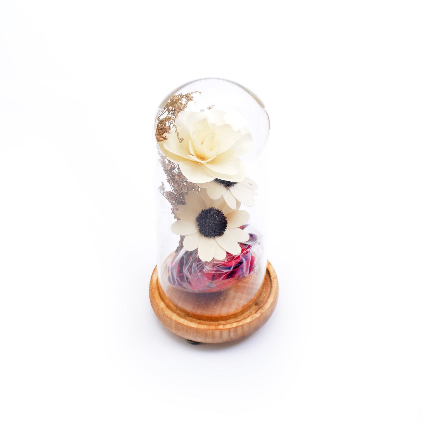 Modern Glass Dome Planter (Off White)
