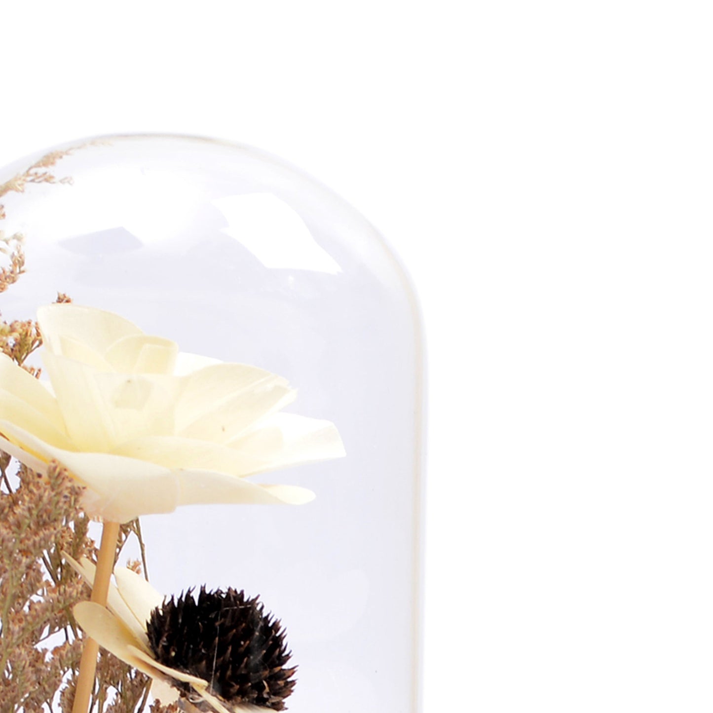 Modern Glass Dome Planter (Off White)
