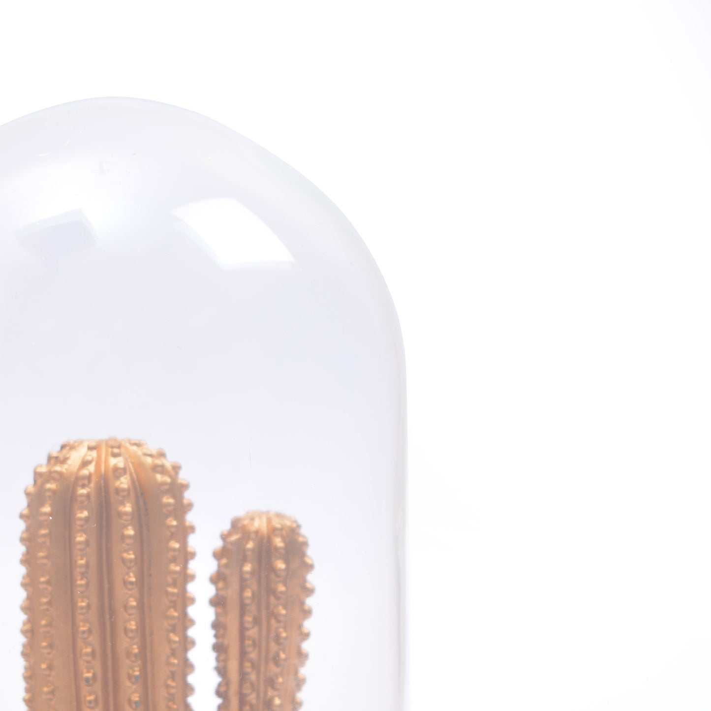 Artificial Cactus Glass Dome Planter (Golden)