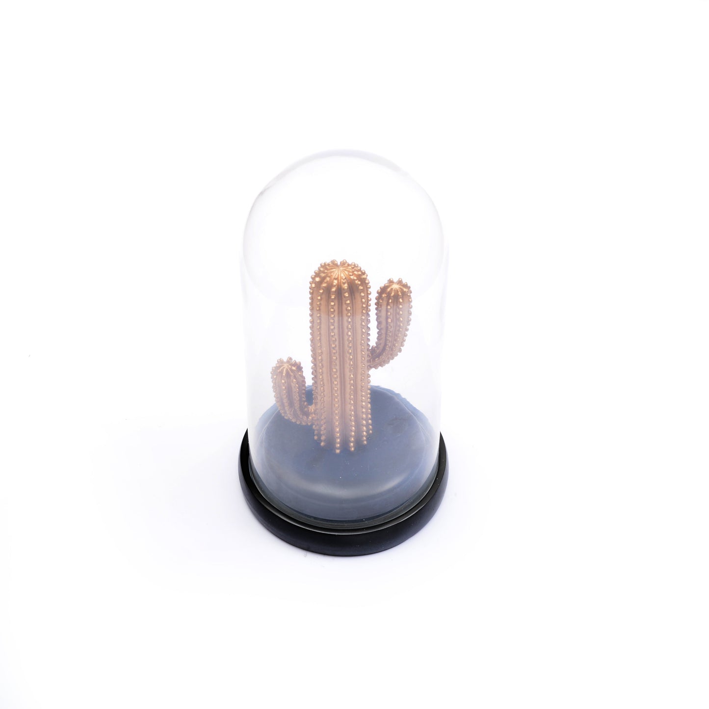 Artificial Cactus Glass Dome Planter (Golden)