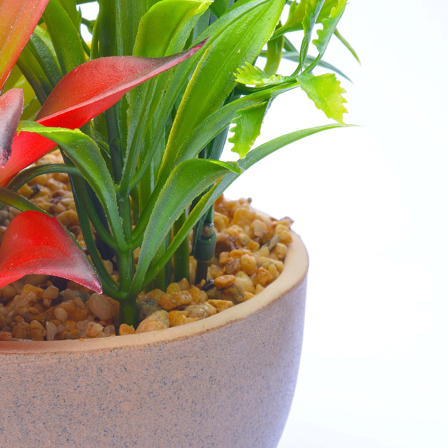 Cactus Pot Planter