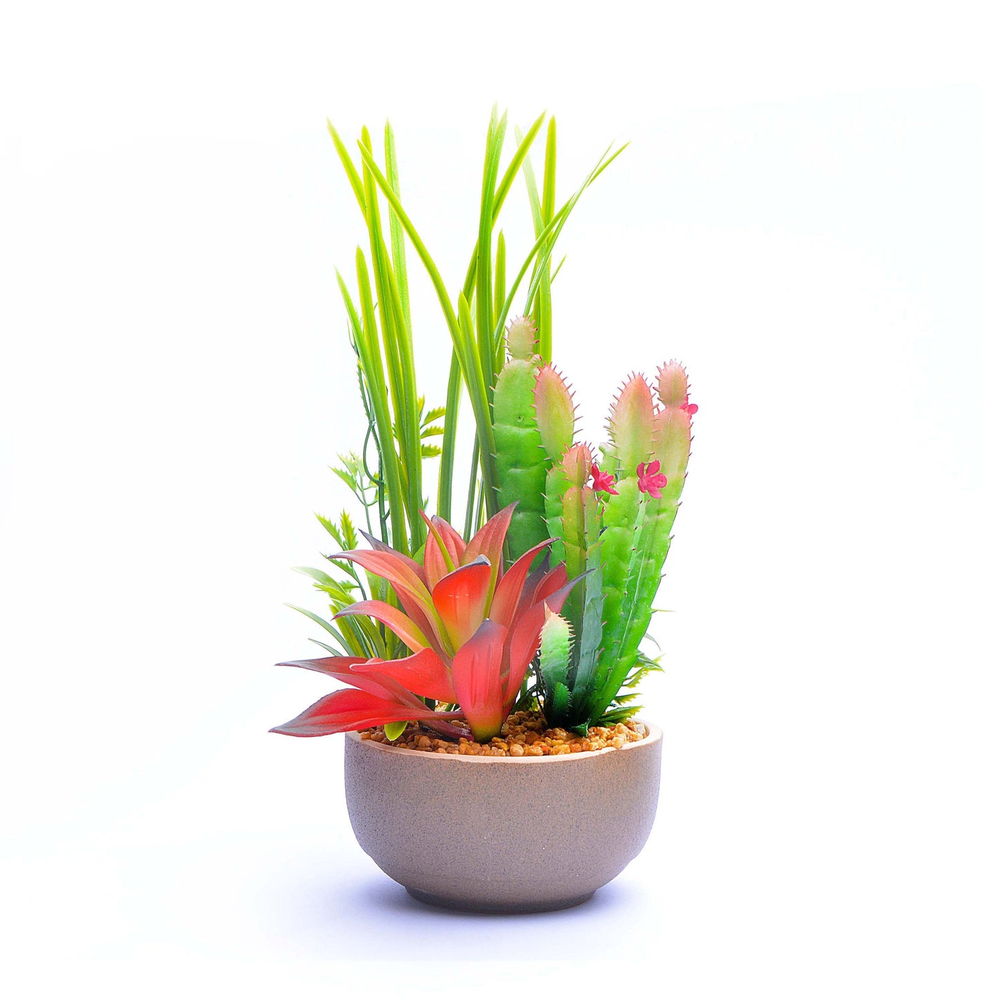 Cactus Pot Planter