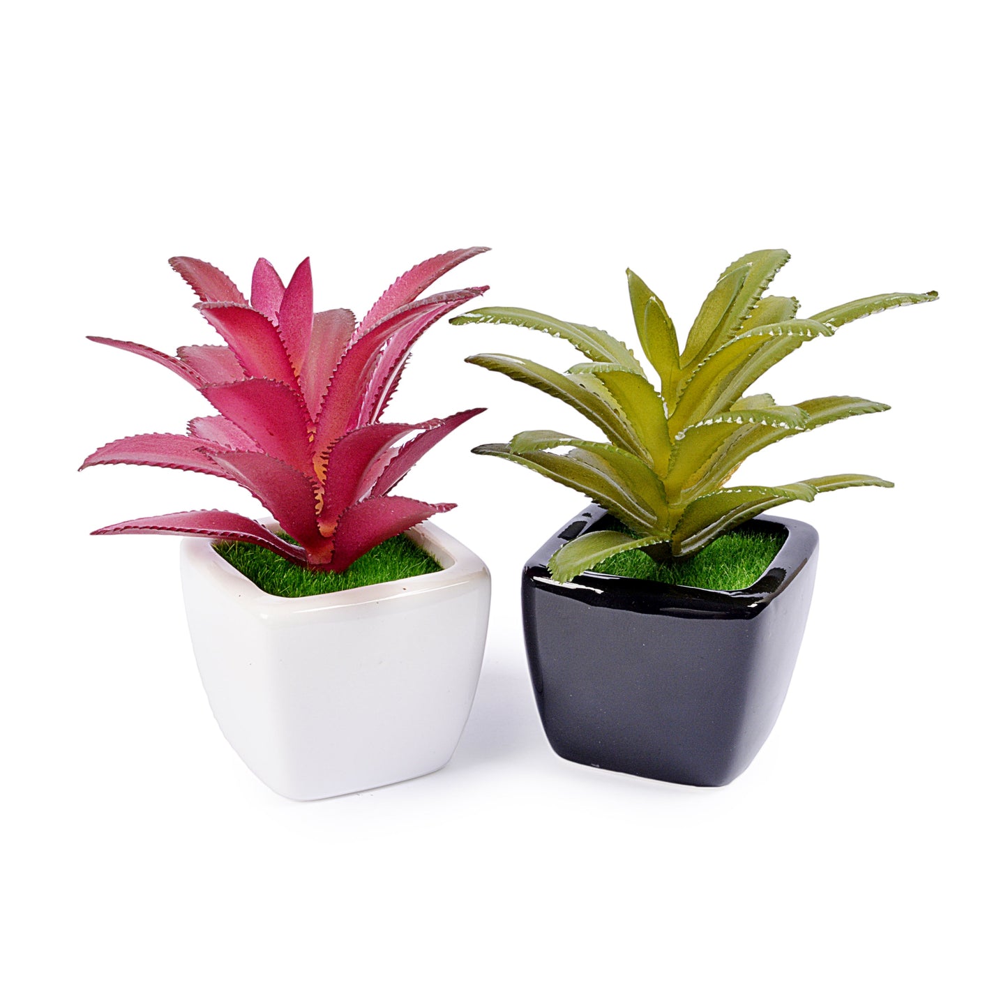 Small Ceramic Decorative Planter (set of 2)