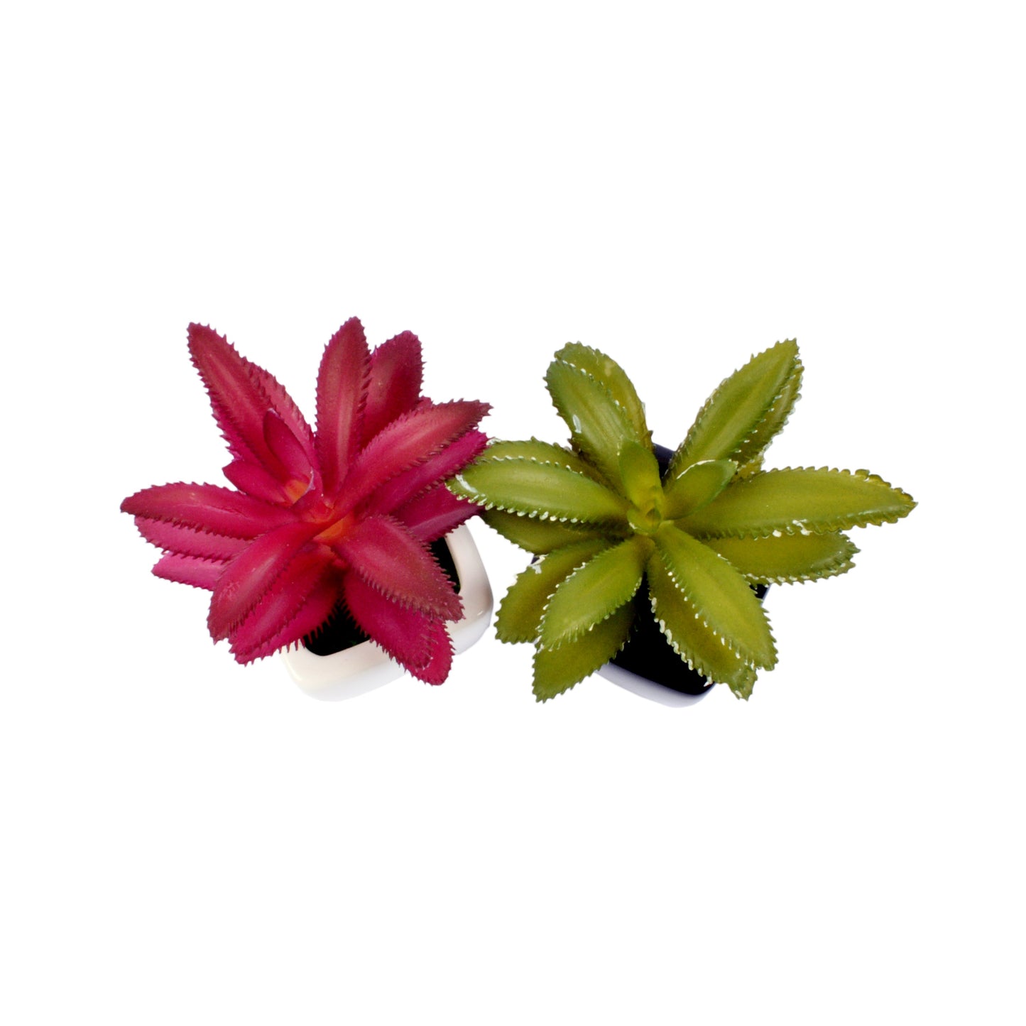 Small Ceramic Decorative Planter (set of 2)