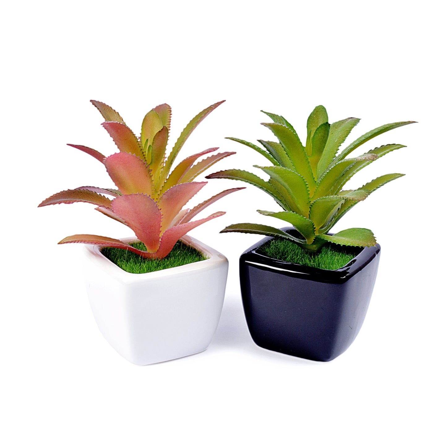 Small Ceramic Decorative Planter (set of 2)