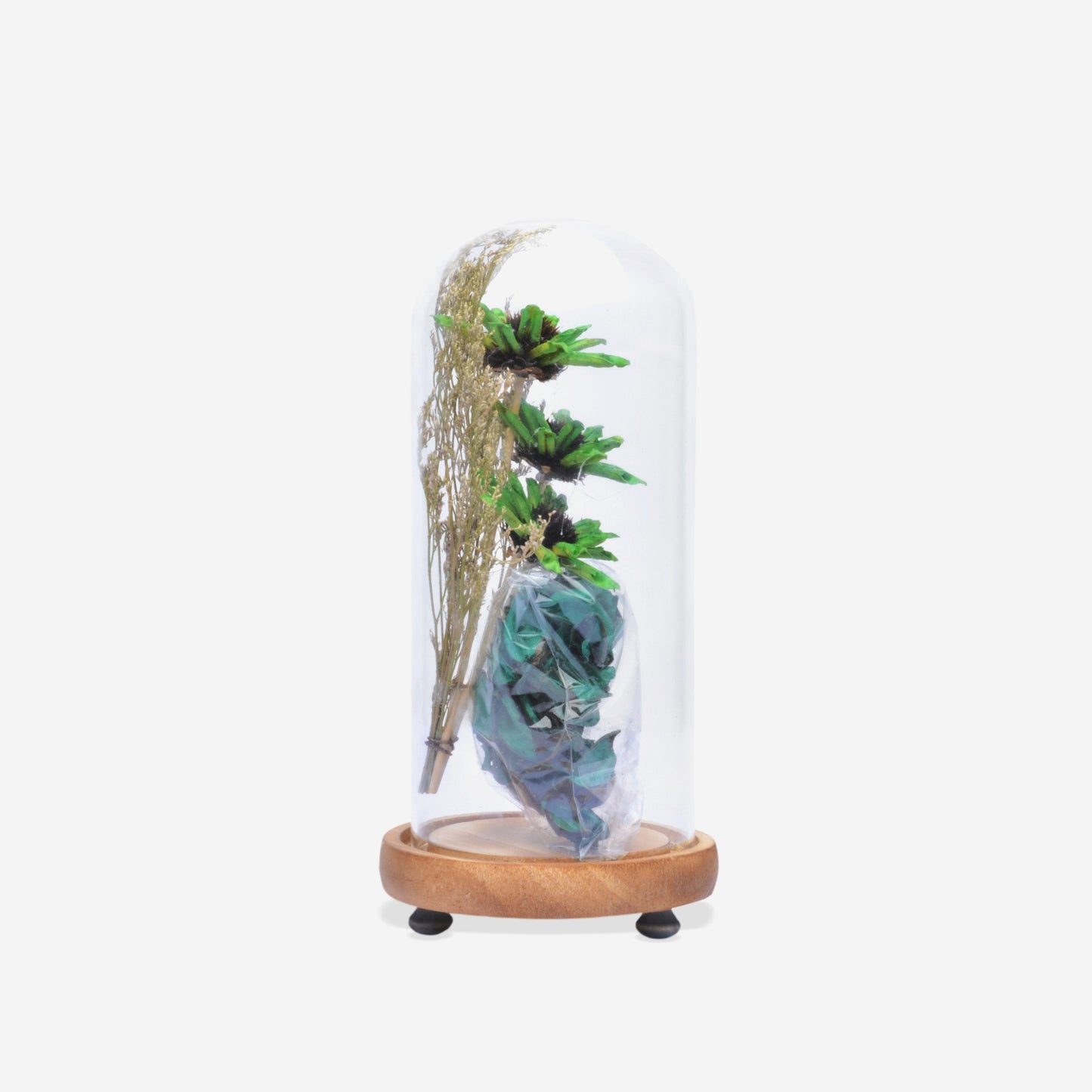 Modern Glass Dome Planter (Green)