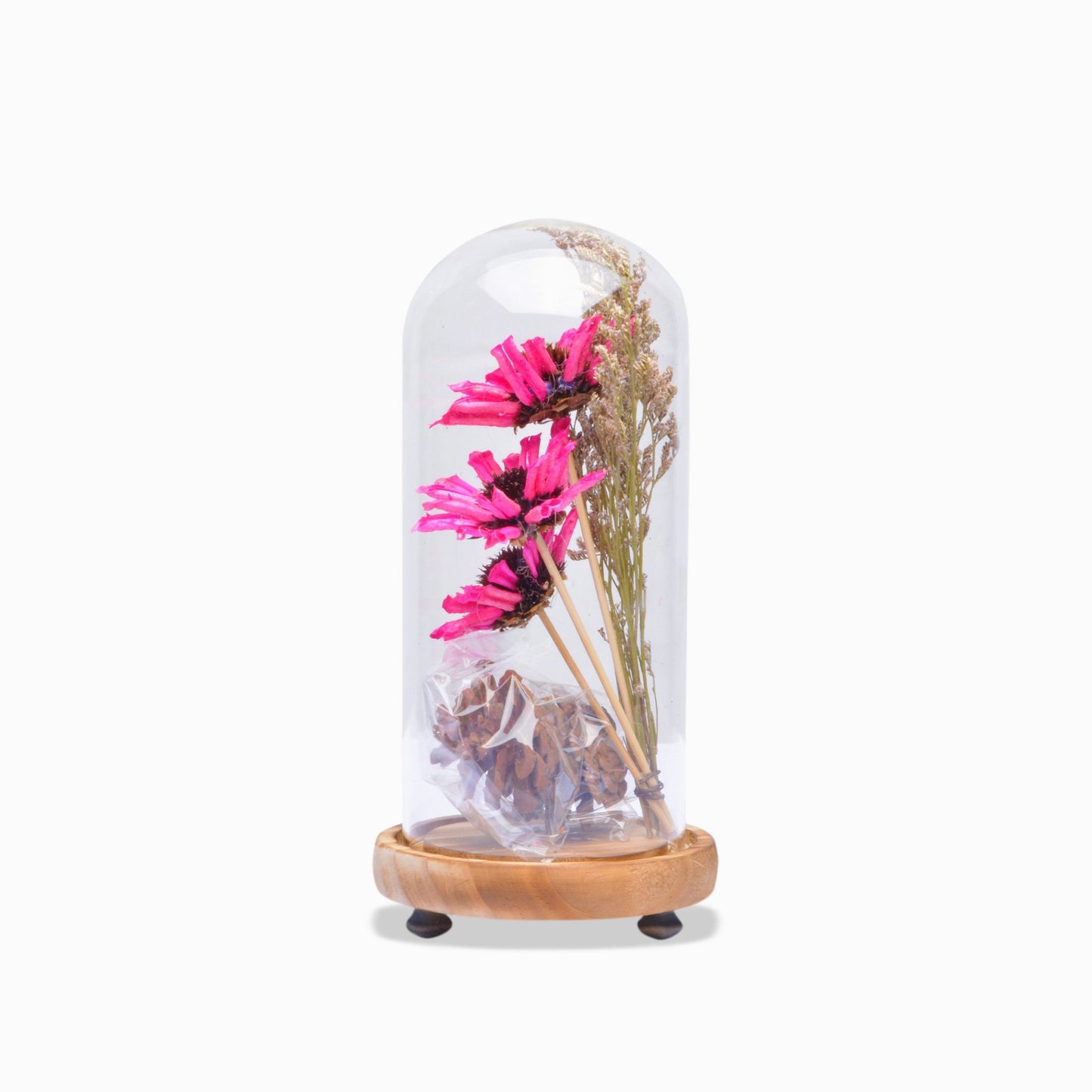 Modern Glass Dome Planter (Pink)