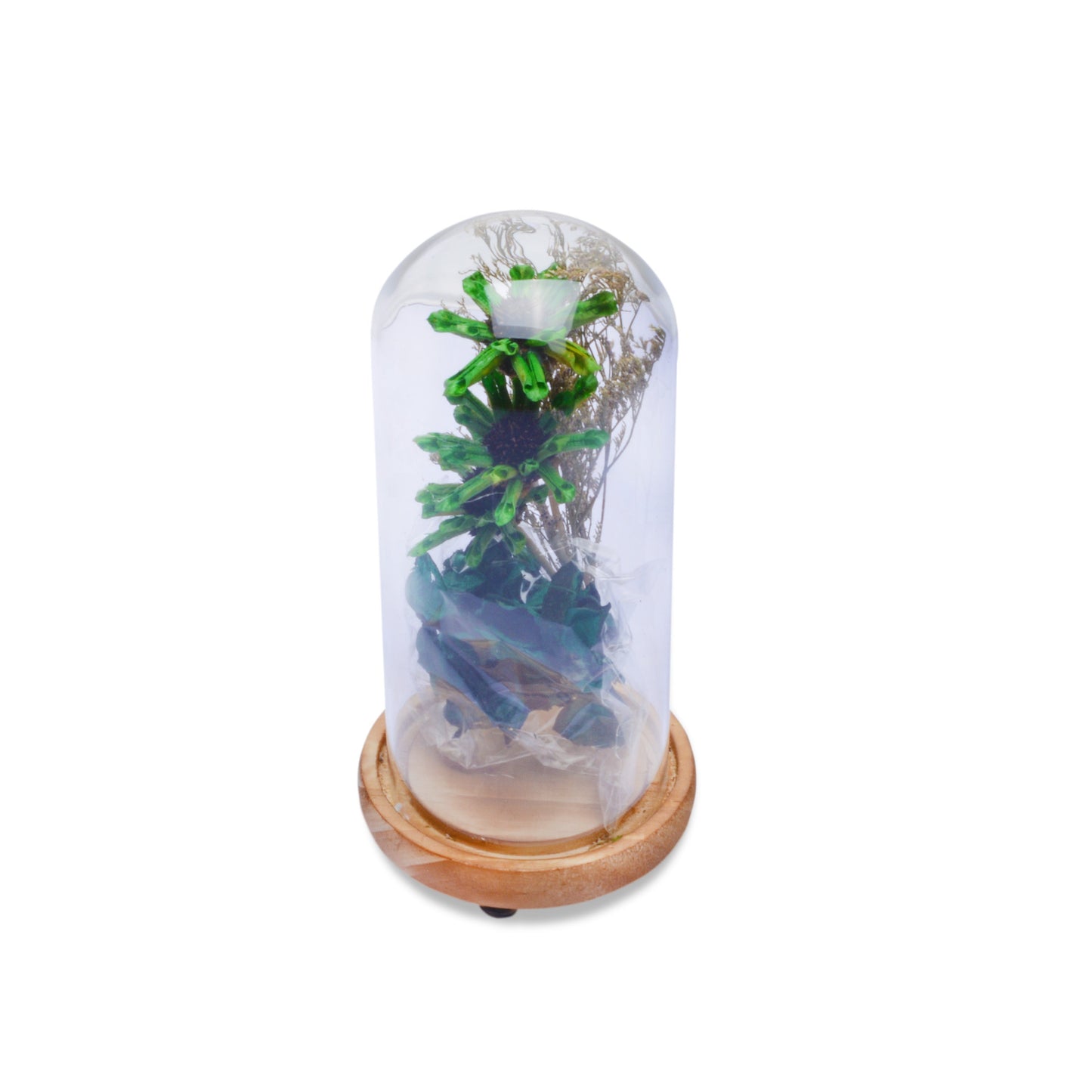Modern Glass Dome Planter (Green)
