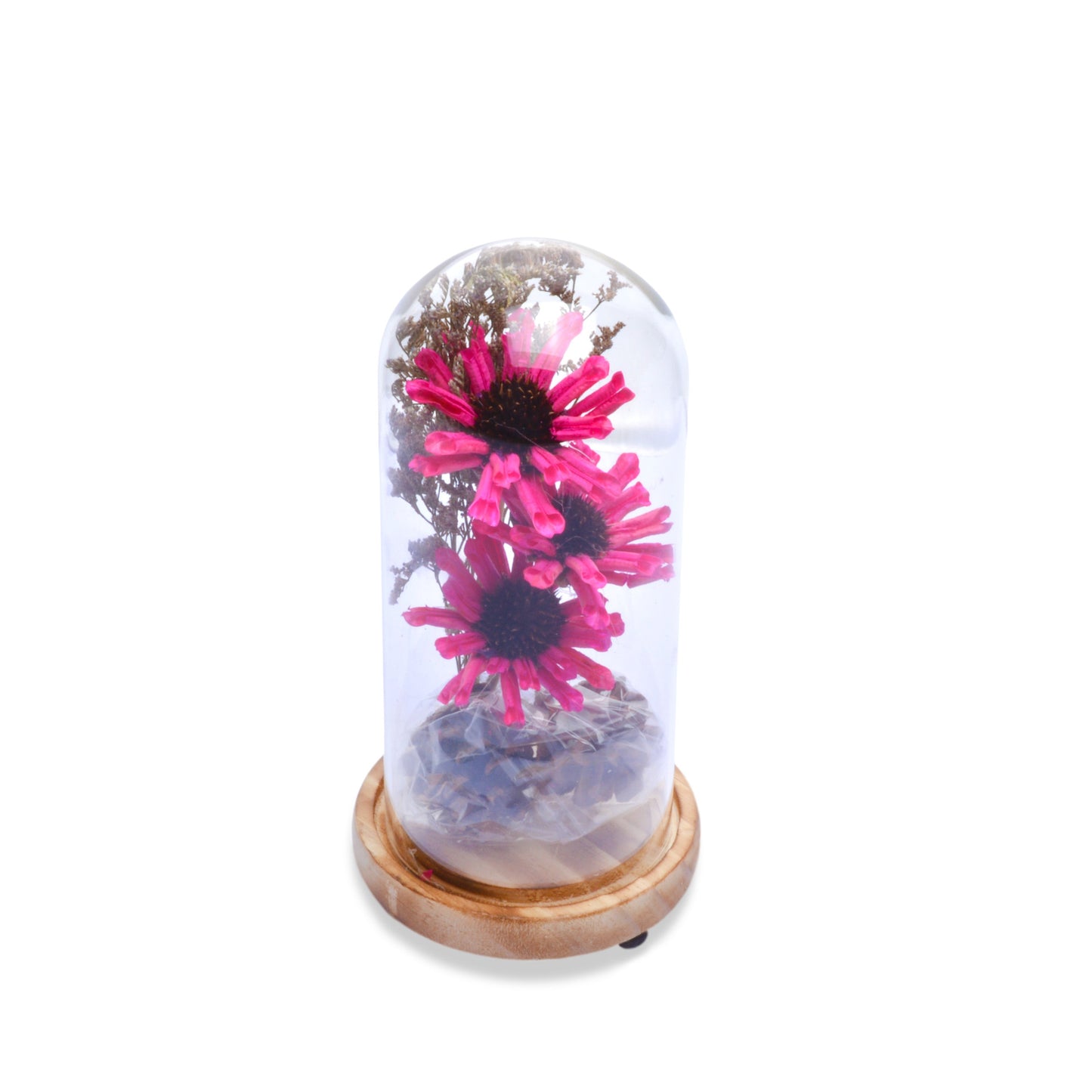 Modern Glass Dome Planter (Pink)
