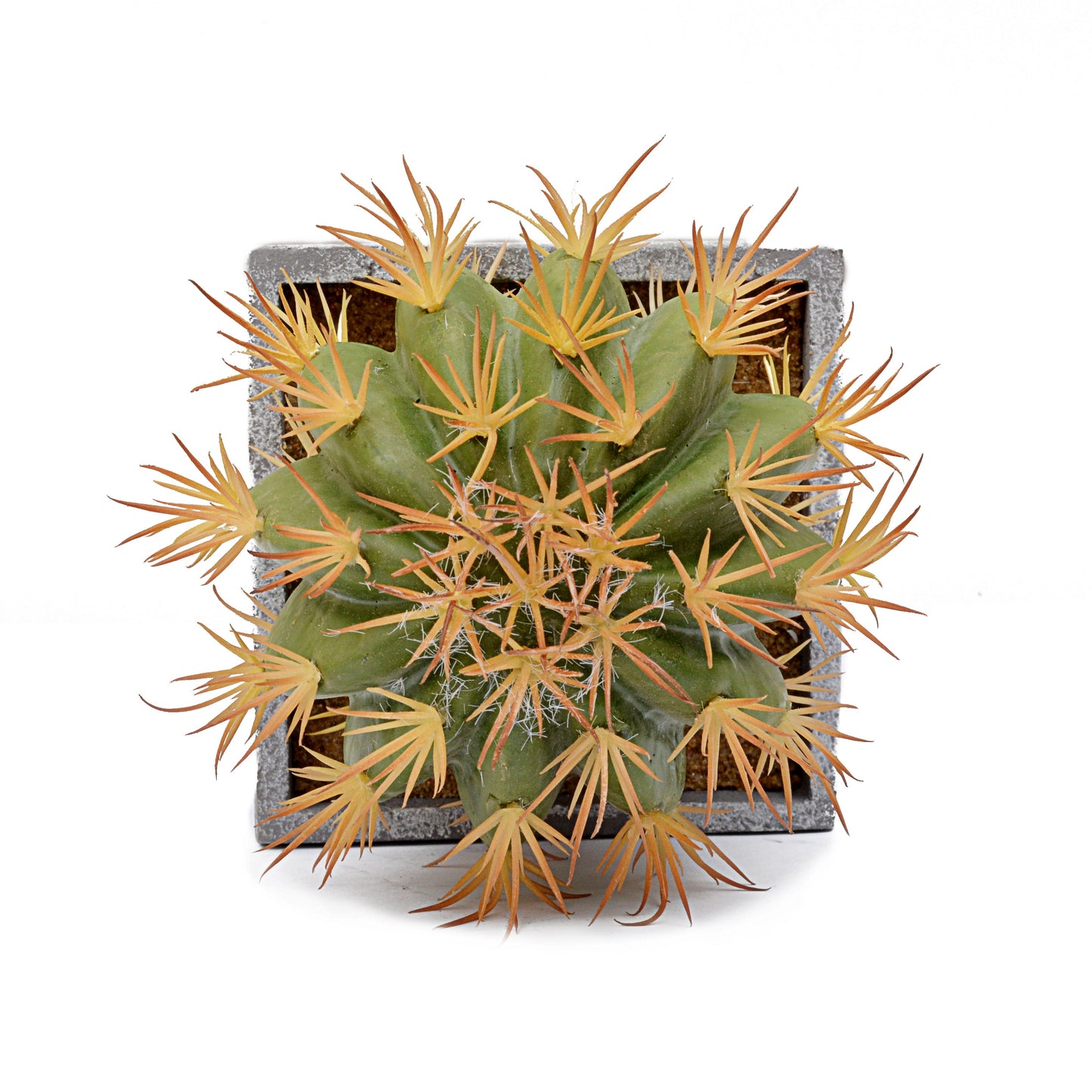 Modern Globe Style Square Planter