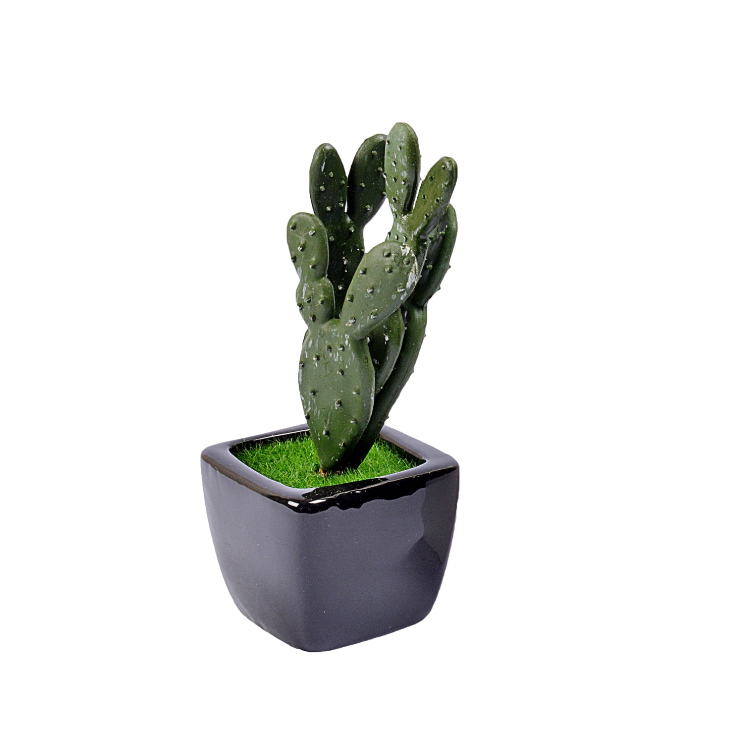 Small Ceramic Decorative Planter (set of 2)