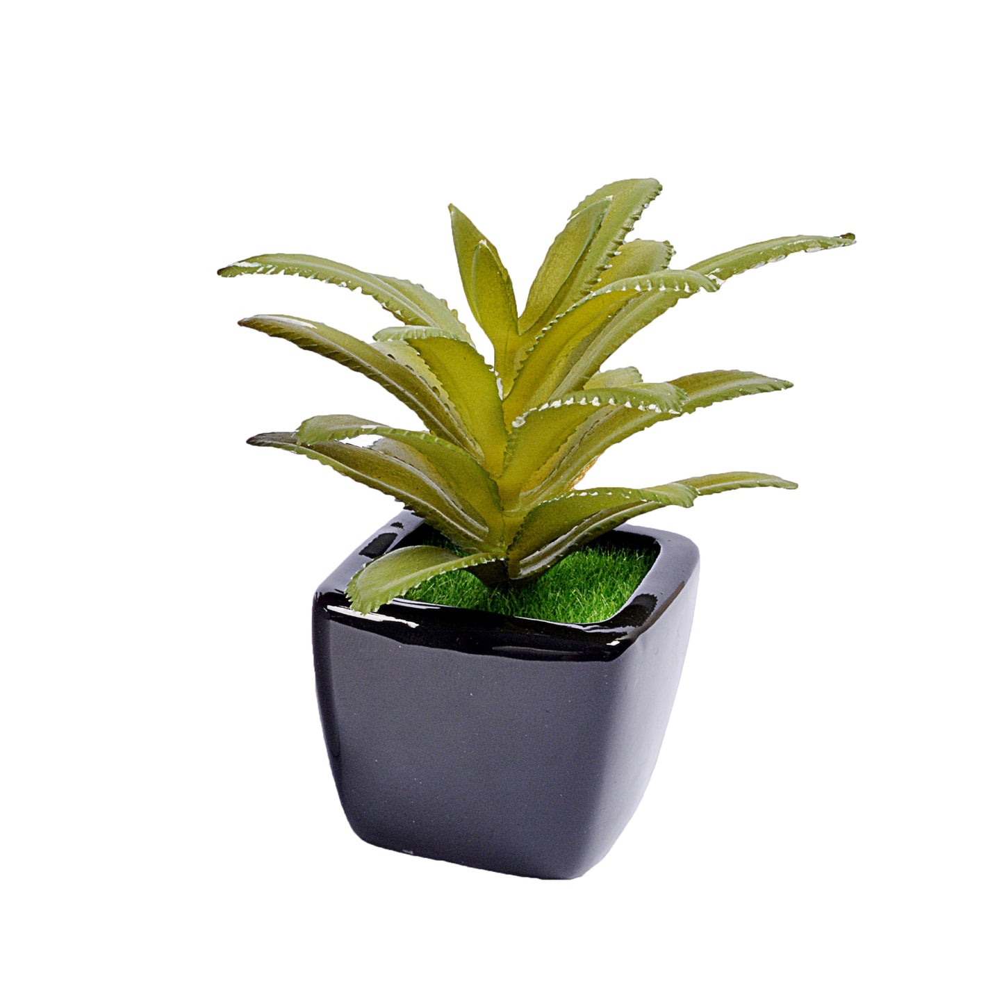 Small Ceramic Decorative Planter (set of 2)