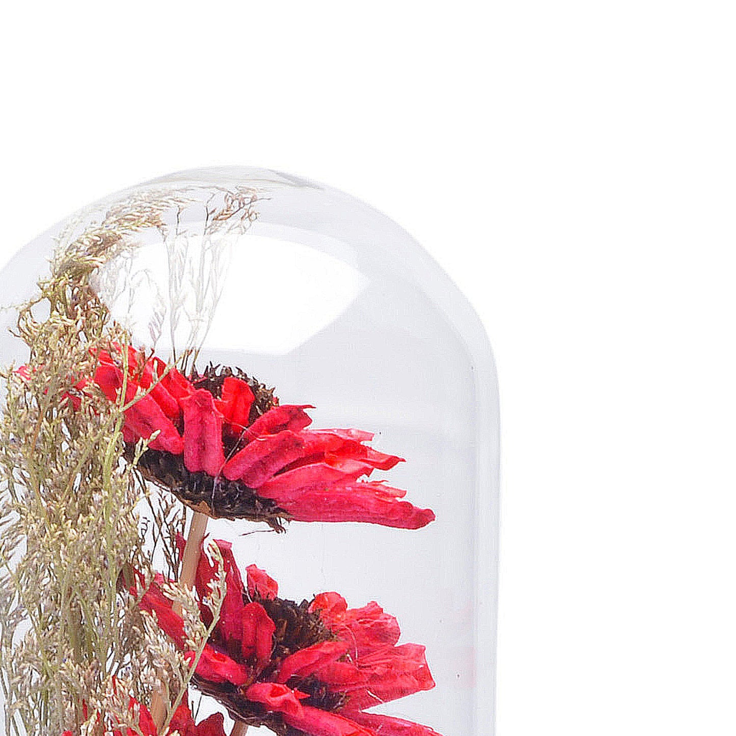 Modern Glass Dome Planter (Red)