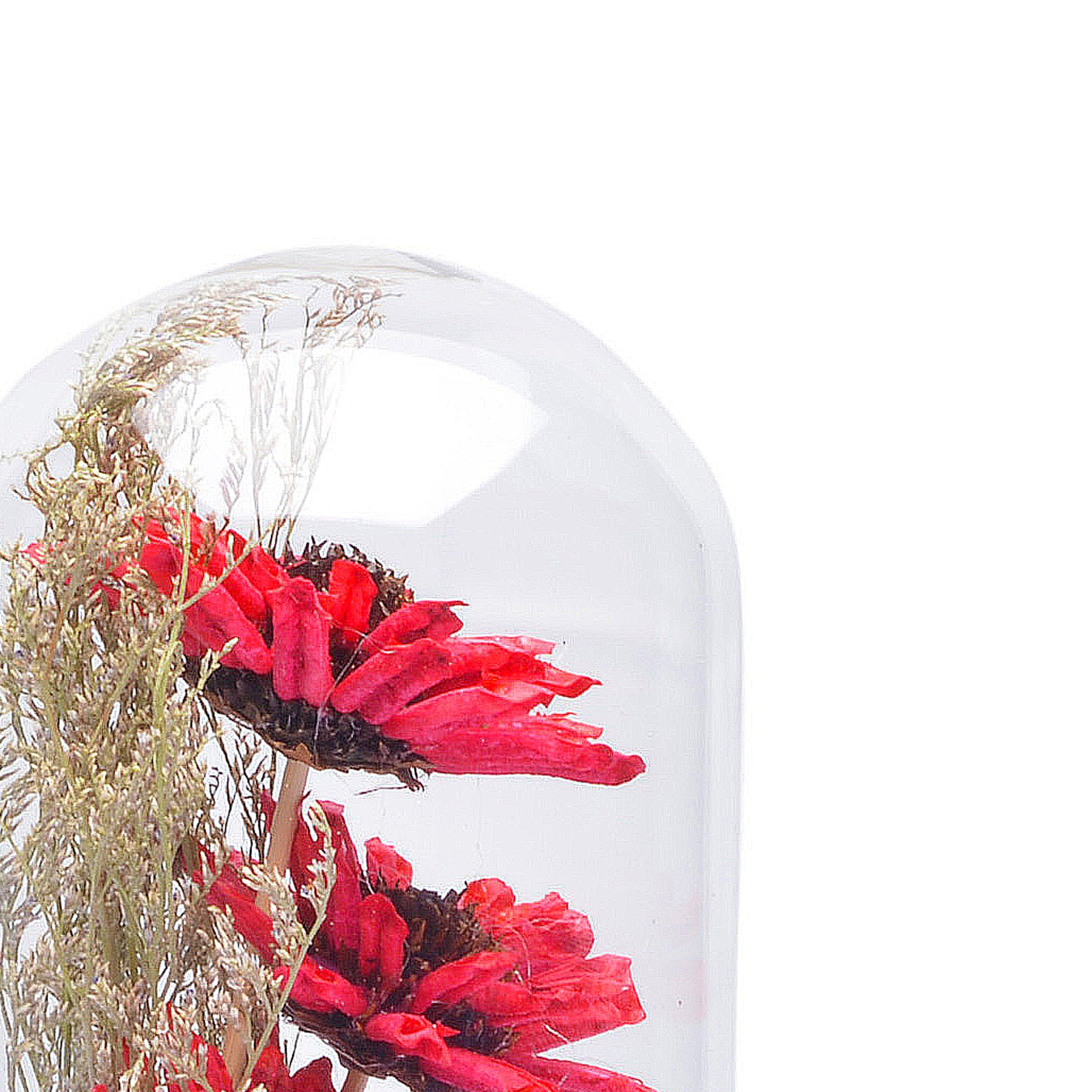Modern Glass Dome Planter (Red)