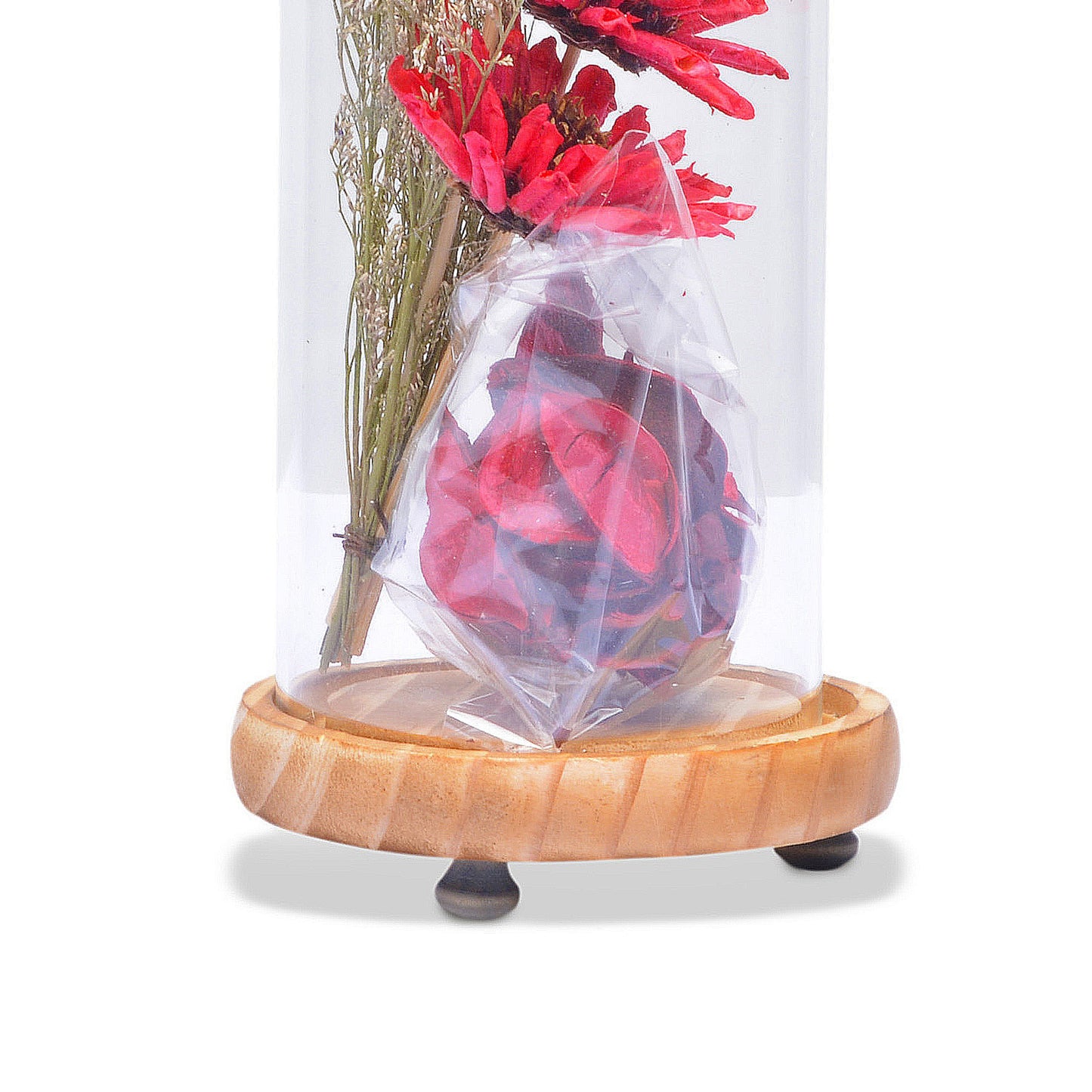 Modern Glass Dome Planter (Red)