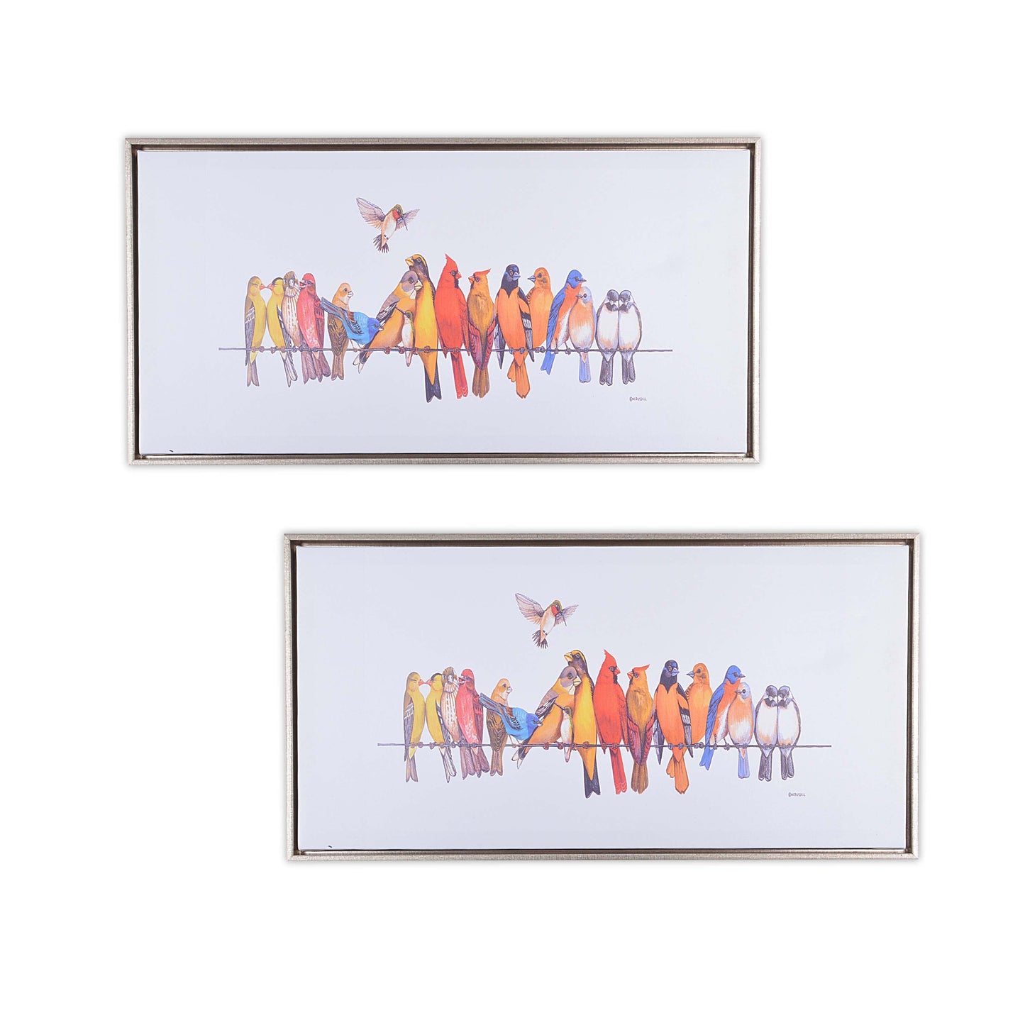 Decorative Colorful Birds Scenery