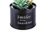 Black Steel Pot & Planter (Green 2)