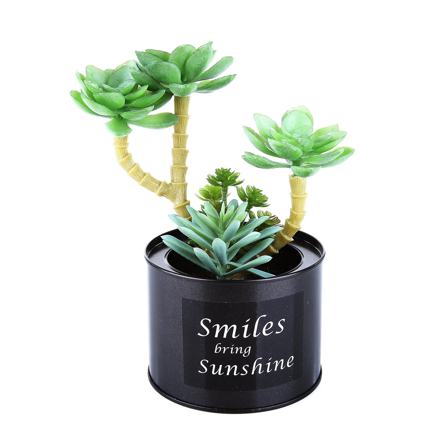 Black Steel Pot & Planter (Green 2)