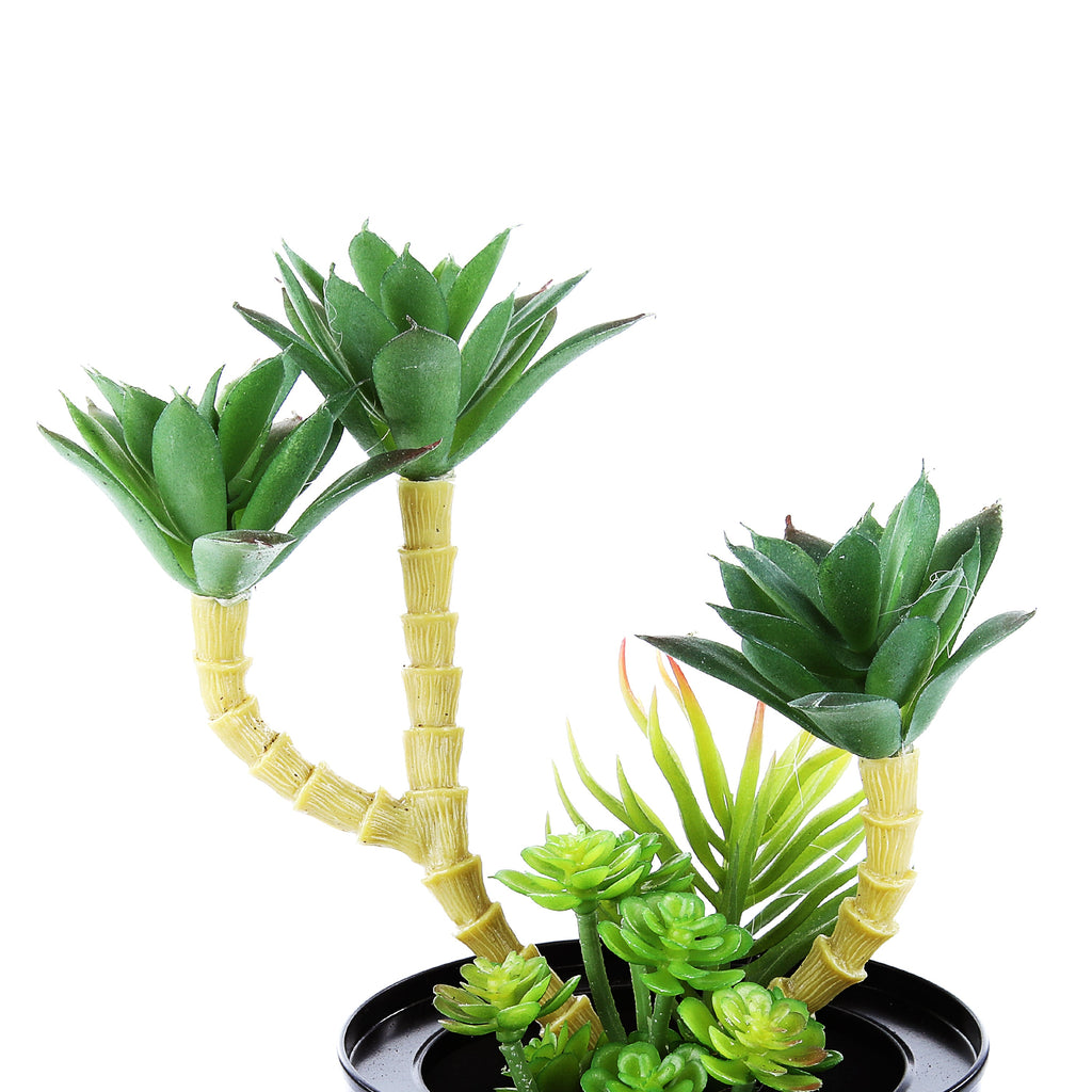 Black Steel Pot & Planter (Green 3)