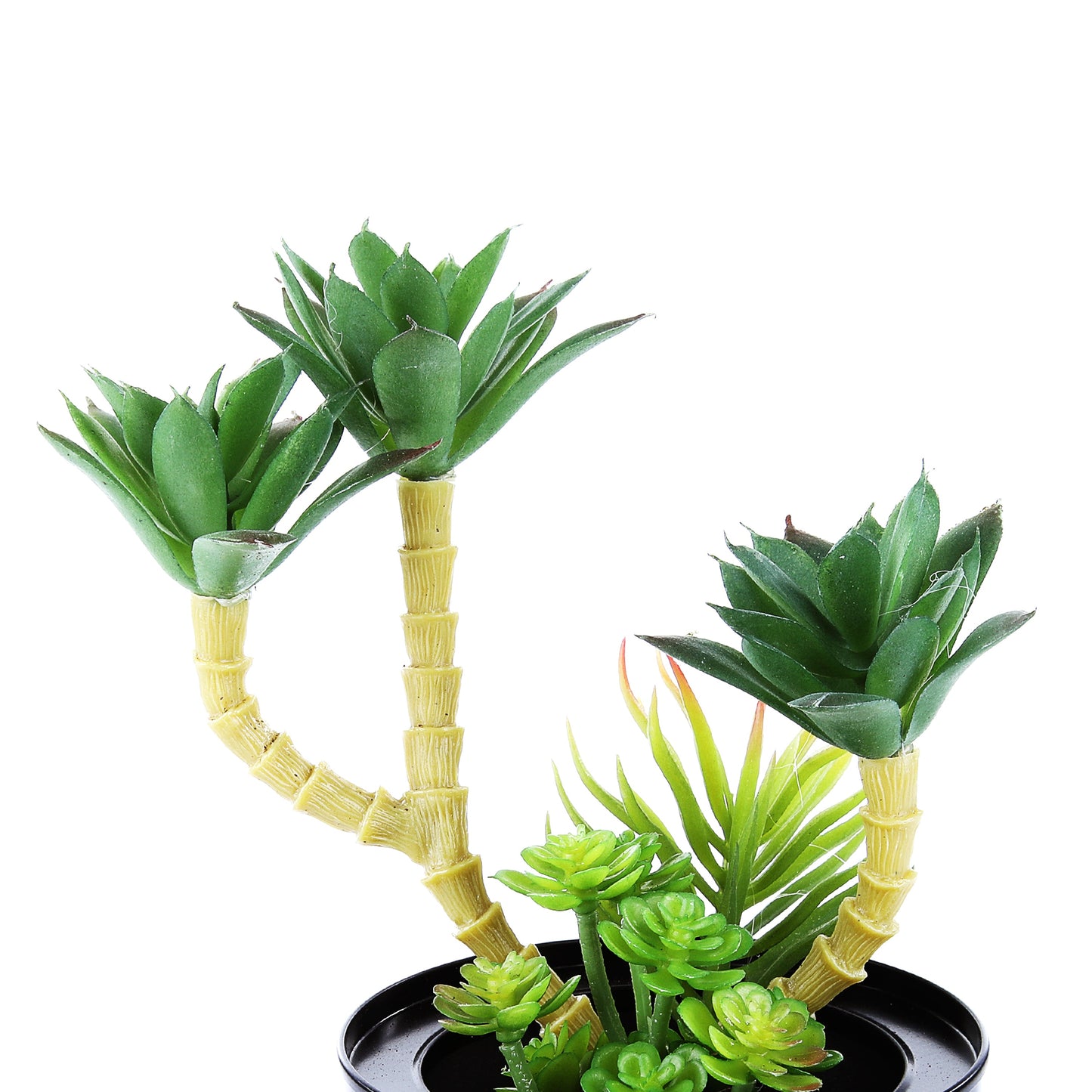 Black Steel Pot & Planter (Green 3)