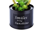 Black Steel Pot & Planter (Green 3)