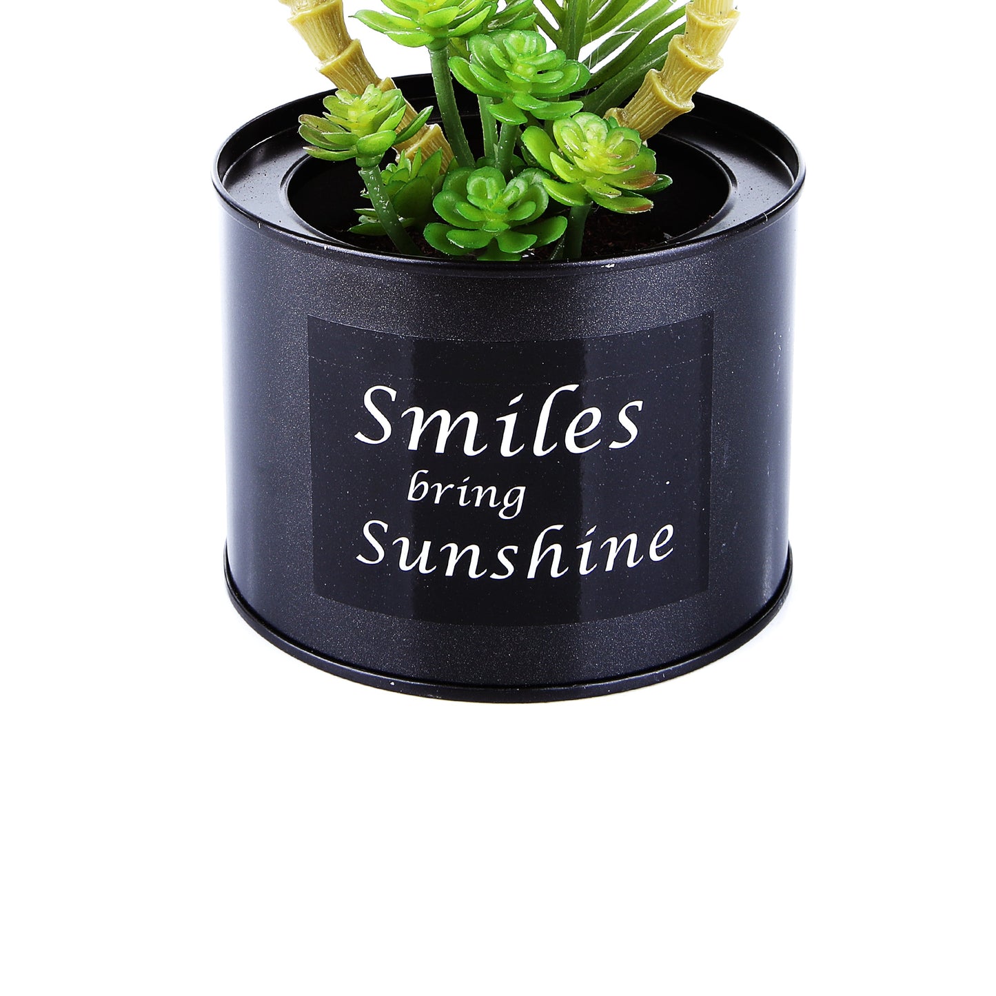 Black Steel Pot & Planter (Green 3)