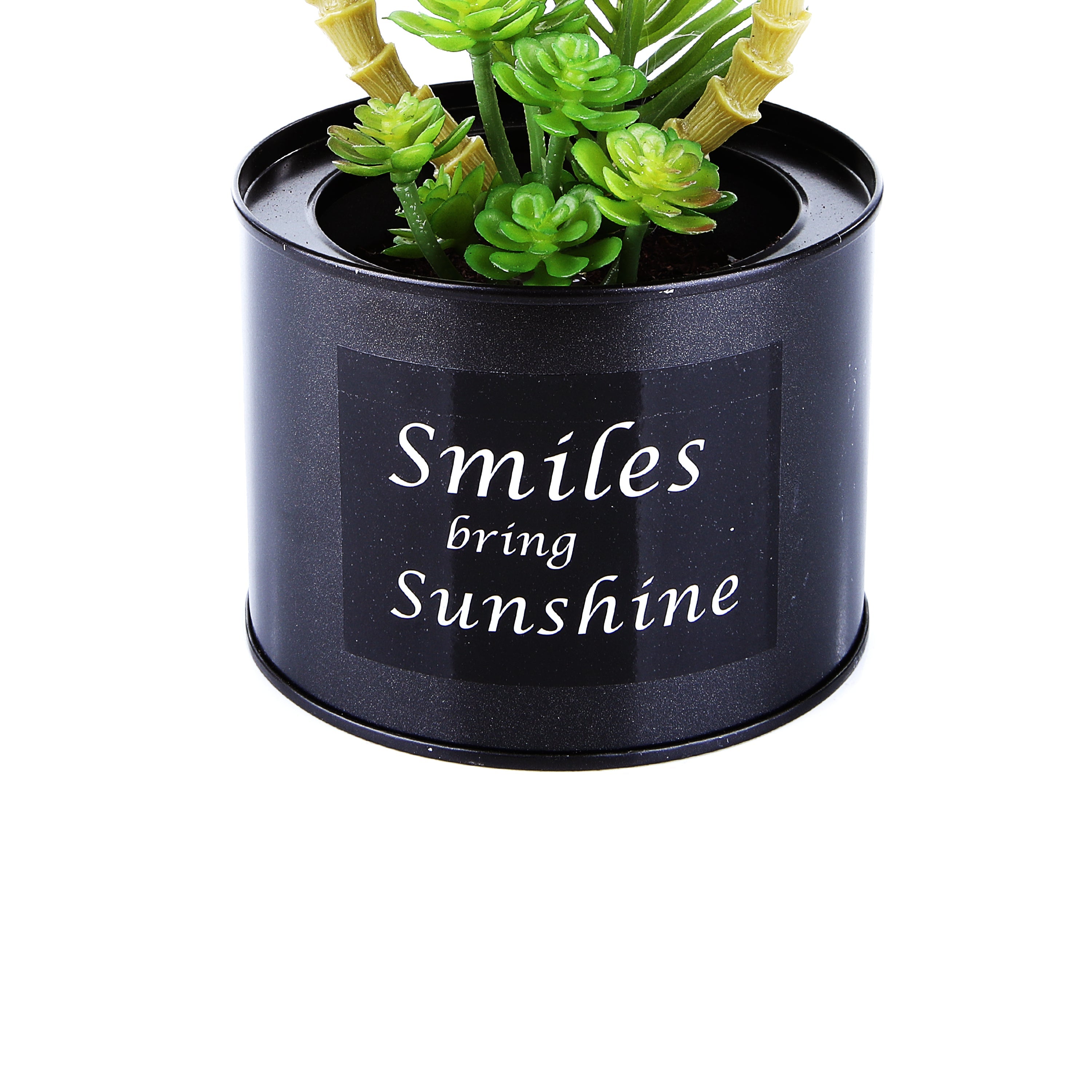 Black Steel Pot & Planter (Green 3)