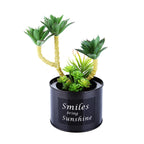 Black Steel Pot & Planter (Green 3)