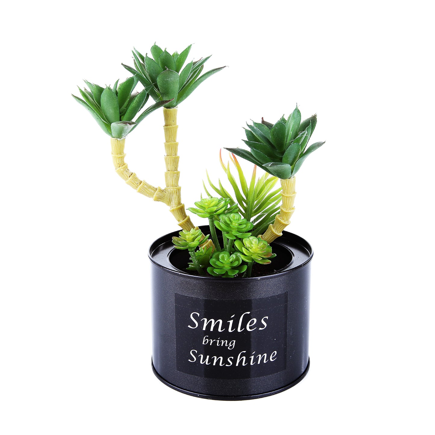 Black Steel Pot & Planter (Green 3)