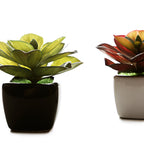 Small Ceramic Decorative Planter (set of 2)