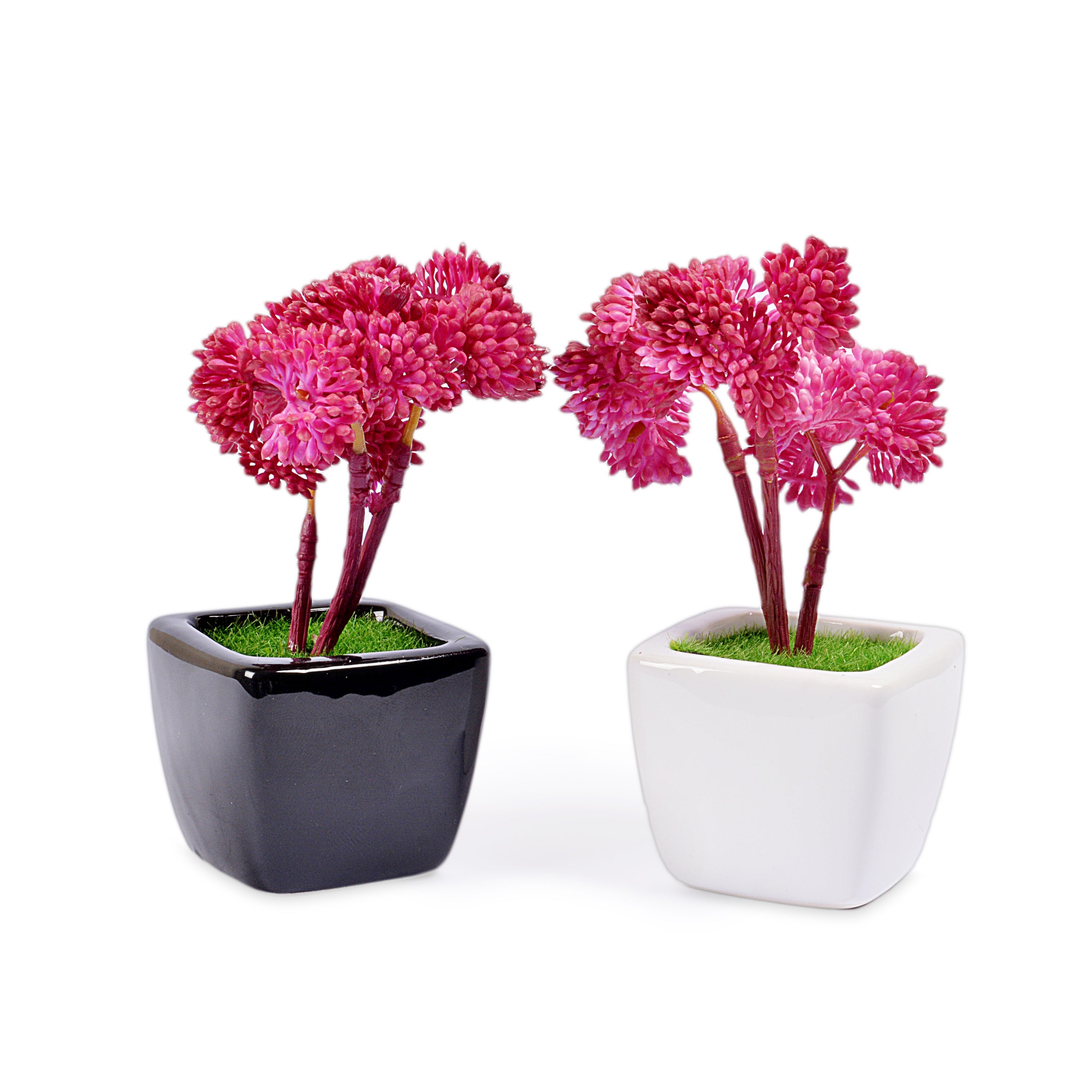 Small Ceramic Decorative Planter (set of 2)