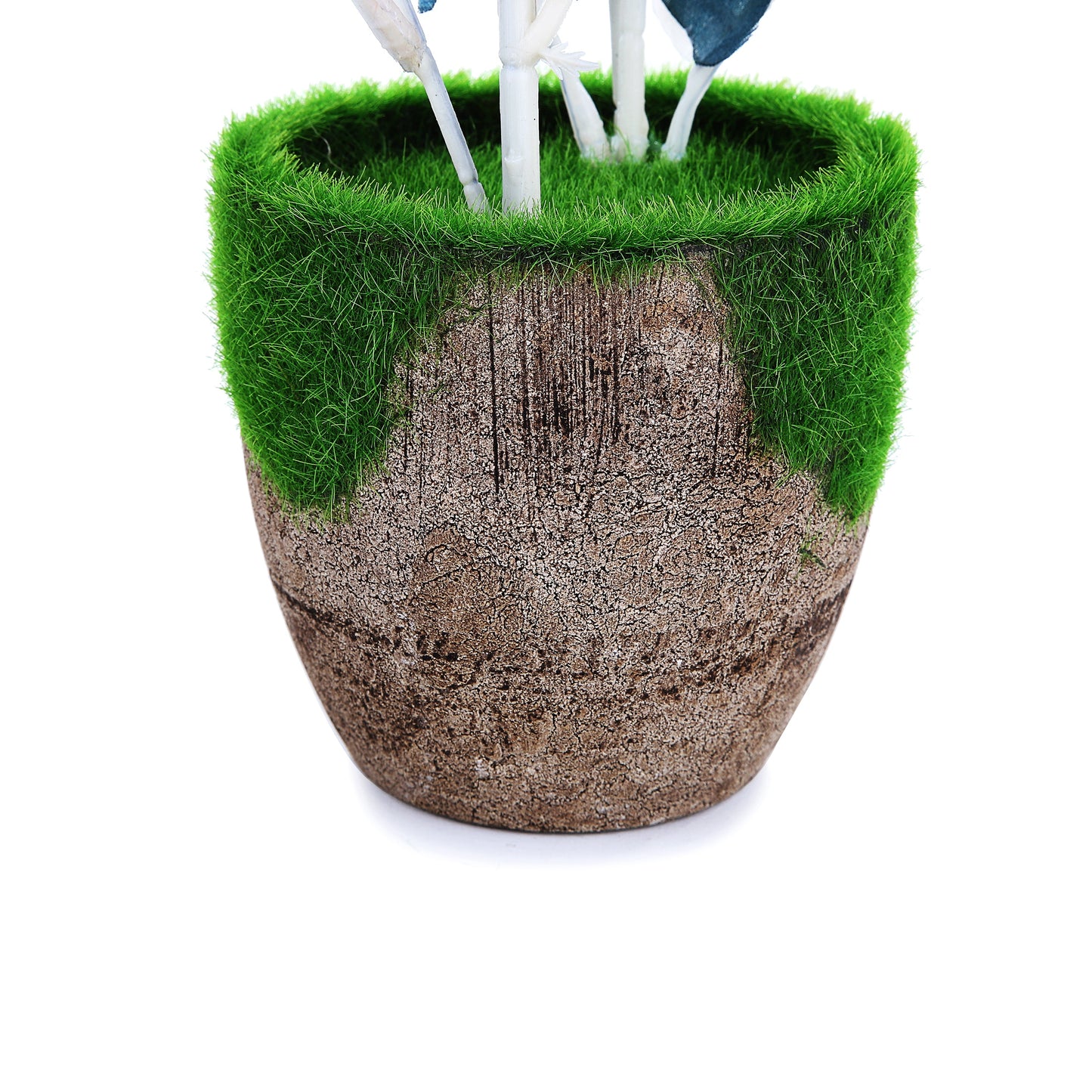 Coconut wooden Pot & Planter (Blue)