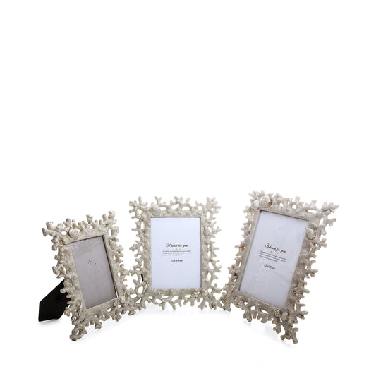 Sea Shells Photo Frames