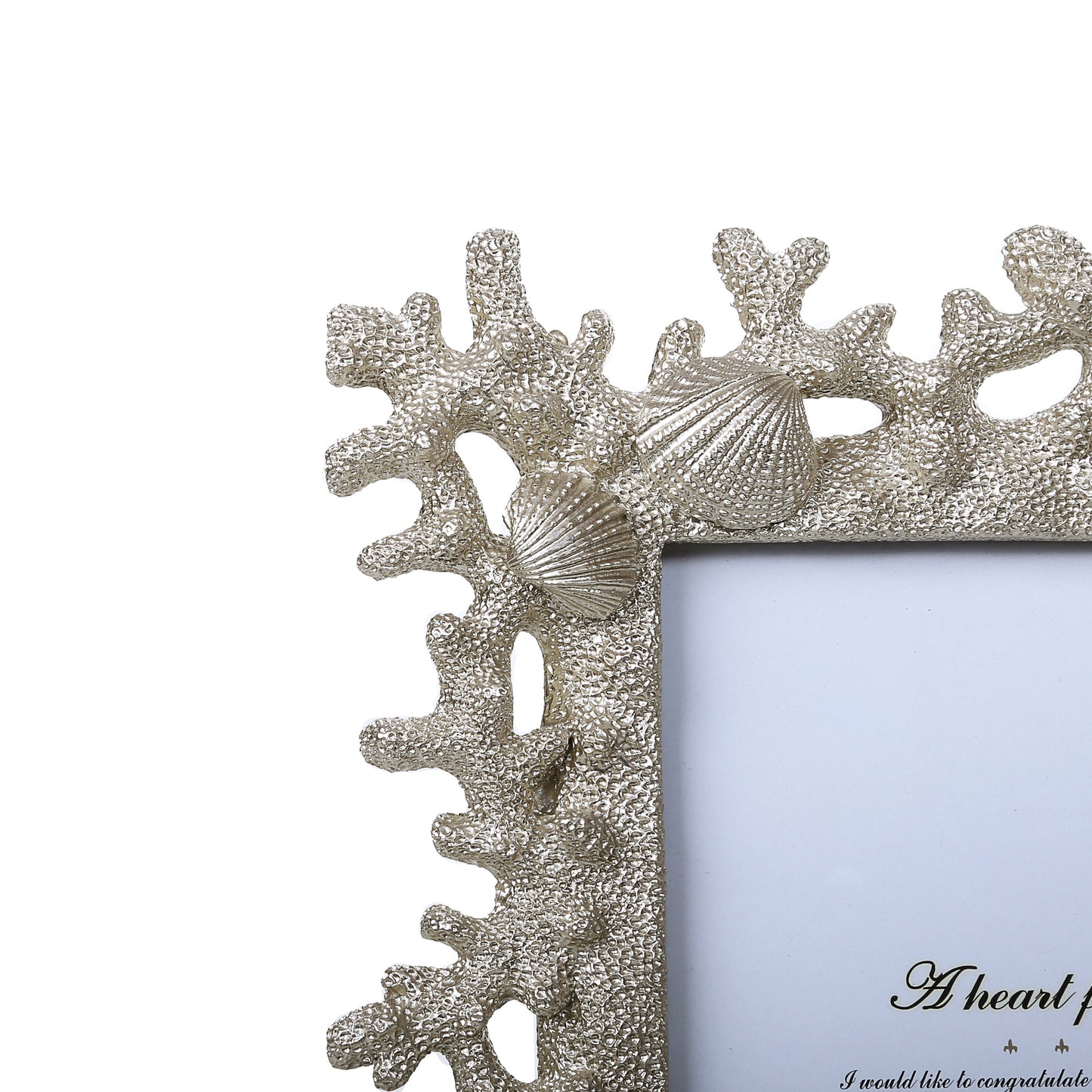 Sea Shells Photo Frames