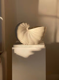The Natuur Vase