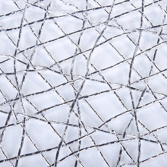 Plastic Silver Raper Table Place-mats (set of 2)